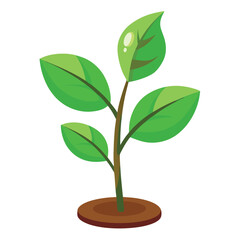 A green plant with a green leaf on it