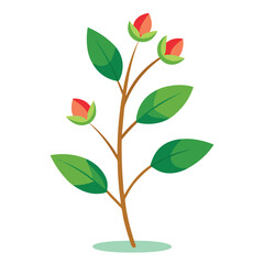 Flowers leaves  flat design on white background isolated