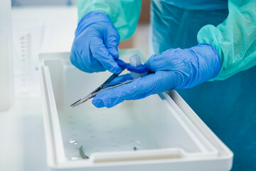 Close-up of a healthcare professional's gloved hands cleaning surgical tools with a brush in a...