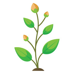 A green plant with a green leaf on it