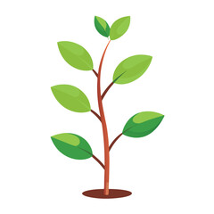 Flowers leaves  flat design on white background isolated