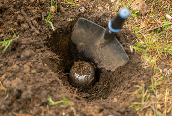 Bury a time capsule with a message in the ground. A metal can is sticking out of the ground.