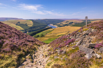 Summer path framed by flowering heather overlooking Derwent Reservoir and patchwork fields from Derwent Edge, Hope Valley, in the Peak District National Park, England