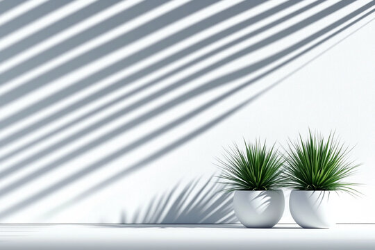 Contrast of round and sharp shapes creates chaotic visual harmony