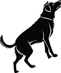 black dog silhouette
