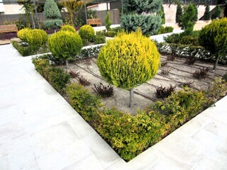 landscaped garden with drip irrigation