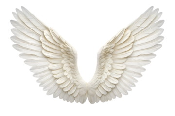 Majestic White Angel Wings Symbol of Freedom, Faith, and Hope