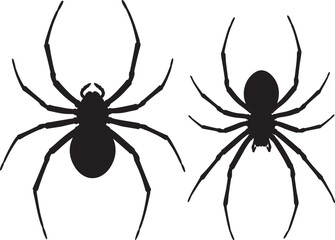 Spider arachnid shape silhouette vector illustration