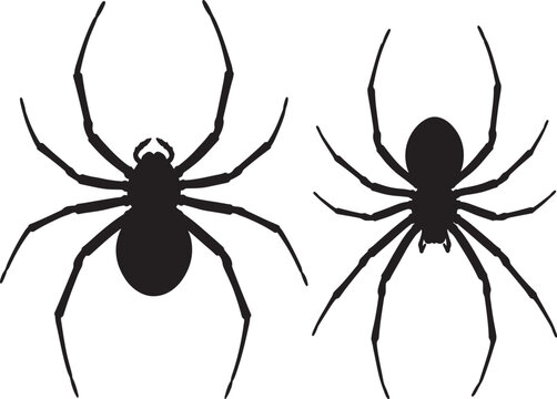 Spider arachnid shape silhouette vector illustration