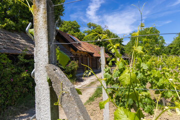 Traditional Wooden Wine Cellars near Kalnik, Croatia