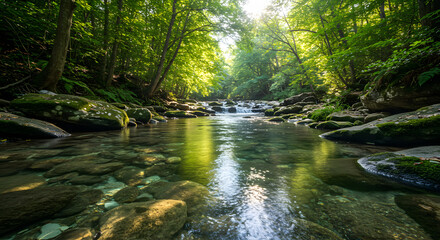 Tranquil river flowing through lush green forest in sunlight  