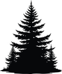 Obraz premium Cluster of pine trees in silhouette. 