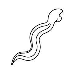 abstract flatworm outline vector illustration