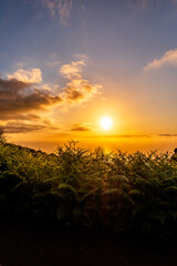 Atardecer en la Corujera, Isla de Tenerife.
