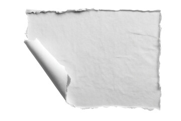 Realistic curls of the corners of a paper page on a transparent background with shadow, curled corners of a sheet of paper. The white edges of the vector stickers are curved. Corners of paper scroll