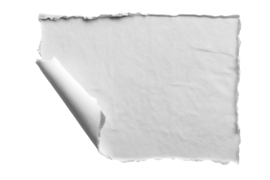 Realistic curls of the corners of a paper page on a transparent background with shadow, curled corners of a sheet of paper. The white edges of the vector stickers are curved. Corners of paper scroll