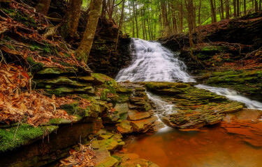 waterfall in autumn forest