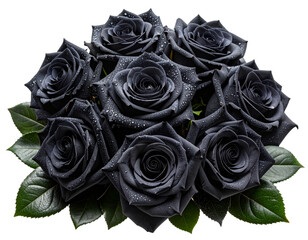 Bouquet of Black Roses with Dew Drops and Dark Green Leaves, isolated on transparent background