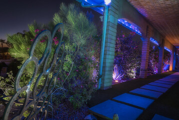 A mid-century home’s walkway glows with blue and purple lights, flanked by lush desert...