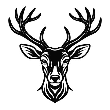 vector line art head of dear on white-background.
