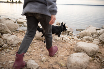A person and a black and white Border collie are playing near the shore. The dog is approaching the water's edge while the person, wearing boots, is about to step onto the sand