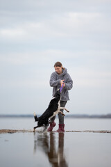 A smiling woman in a hoodie holds a toy as a Border Collie jumps excitedly to catch it. They are on...