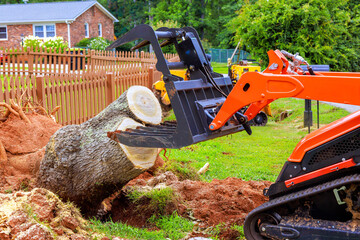 Construction skid steer machinery removes large tree stump from grassy residential yard, by fences. © ungvar