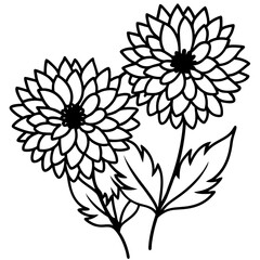 Obraz premium Many Aster Flowers