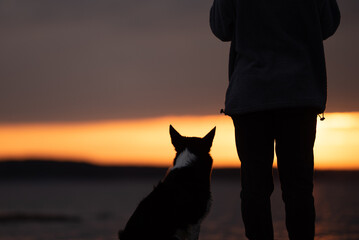 A black and white Border Collie sits near a person silhouetted against the backdrop of the setting sun and the sea. Calm water and vivid colors create a peaceful atmosphere