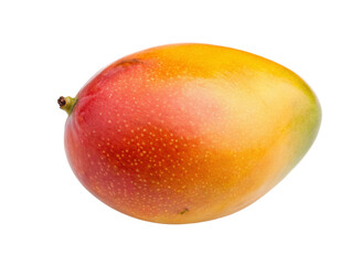 Ripe mango with vibrant yellow and red colors on black background for fresh fruit presentation