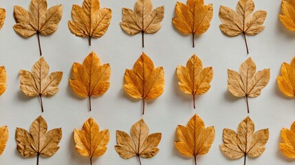 Fototapeta premium Dried autumn leaves arranged in a grid pattern