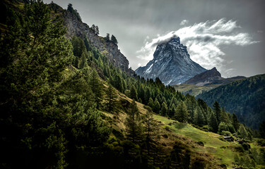 mount rainier national park