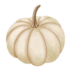 White pumpkin in a soft watercolor style. Perfect for fall decor, Thanksgiving, farmers market designs, or minimalist seasonal arrangements with elegant rustic charm.