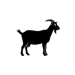 A striking silhouette of a domestic goat standing proudly showcasing its majestic horns and a long beard