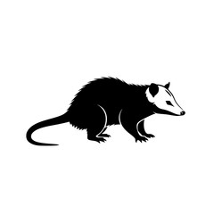 Opossum Silhouette Vector Graphic Illustration of a North American Marsupial Wildlife Mammal