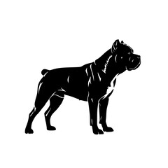 Powerful Dog Breed Silhouette Standing Proudly Muscular Canine Outline