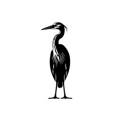 Elegant Heron Silhouette Standing Tall Against a White Background