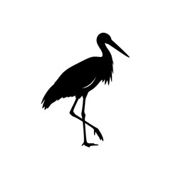 Elegant Silhouette of a Tall Stork in Motion with Long Legs and Neck