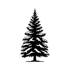Elegant Evergreen Fir Tree Silhouette Covered in Soft Winter Snowfall