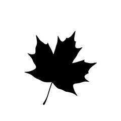 Black Maple Leaf Silhouette Symbolizing Autumn Season Nature Plant