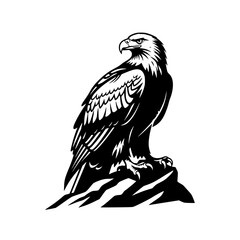  Majestic Eagle Silhouette Perched On A Rocky Outcrop Majestic Bird Of Prey