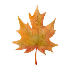 Maple leaf in warm autumn shades with soft details and textured edges. Watercolor style brings a cozy, seasonal feel perfect for fall decor, nature themes, prints, and invitations.