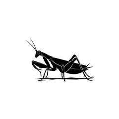 Praying Mantis Insect Silhouette Vector Art and Illustration