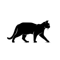 Elegant Black Cat Silhouette Walking Gracefully with Tail Extended