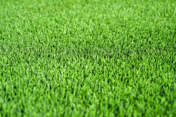 Angled detail view of artificial grass
