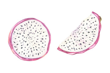Two fresh pitaya slices with juicy white flesh watercolor illustration isolated background. Tropical dragon fruit for healthy food packaging, juice labels, vegan recipes, and summer menu designs.