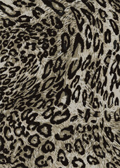Leopard skin pattern, animal leather seamless design