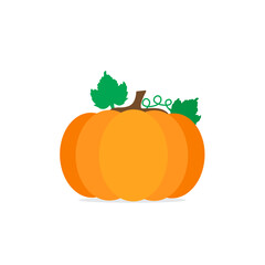Pumpkin flat illustration on transparent background. Vector illustration. 