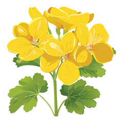 Soft Yellow Geranium Bush with Green Foliage