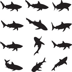 Fototapeta premium A set of different types of black BullShark Wild Animals silhouette icons on a white background. Each has a unique position. The icons are illustrations